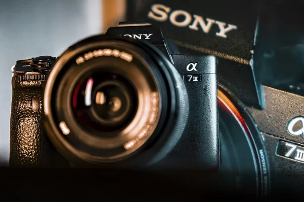 Sony Alpha 7R III with 24-70mm lens in outdoor shoot